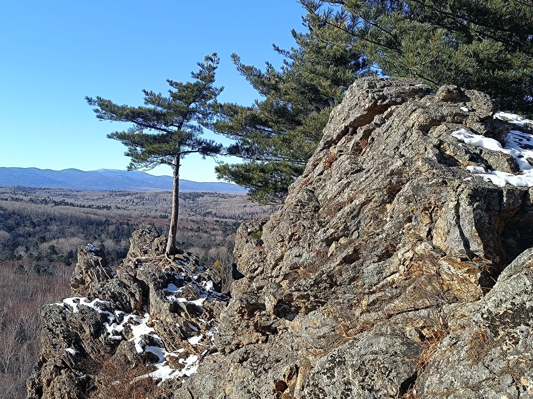 Не была уверена, что по здоровью смогу осилить обычную групповую экскурсию в Хехцир, т. к. накануне