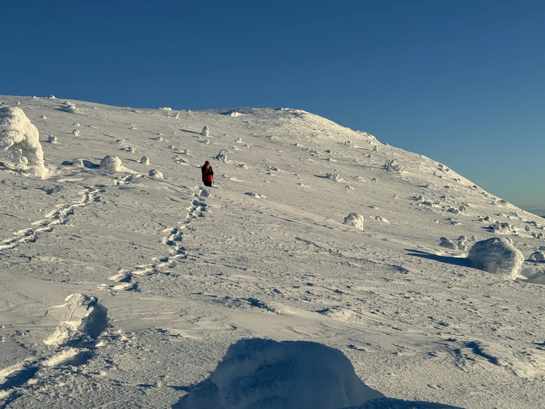 Если вы хотите погрузиться в настоящую зимнюю сказку и увидеть своими глазами красоту Русского Севера, вам