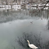 Фото отзыва 1: экскурсия "Из Нальчика — в Верхнюю Балкарию!"