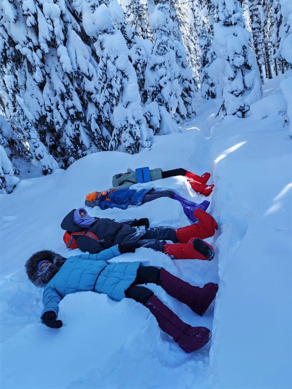Сказать, что понравилось, — значит ничего не сказать. Я в восторге!
