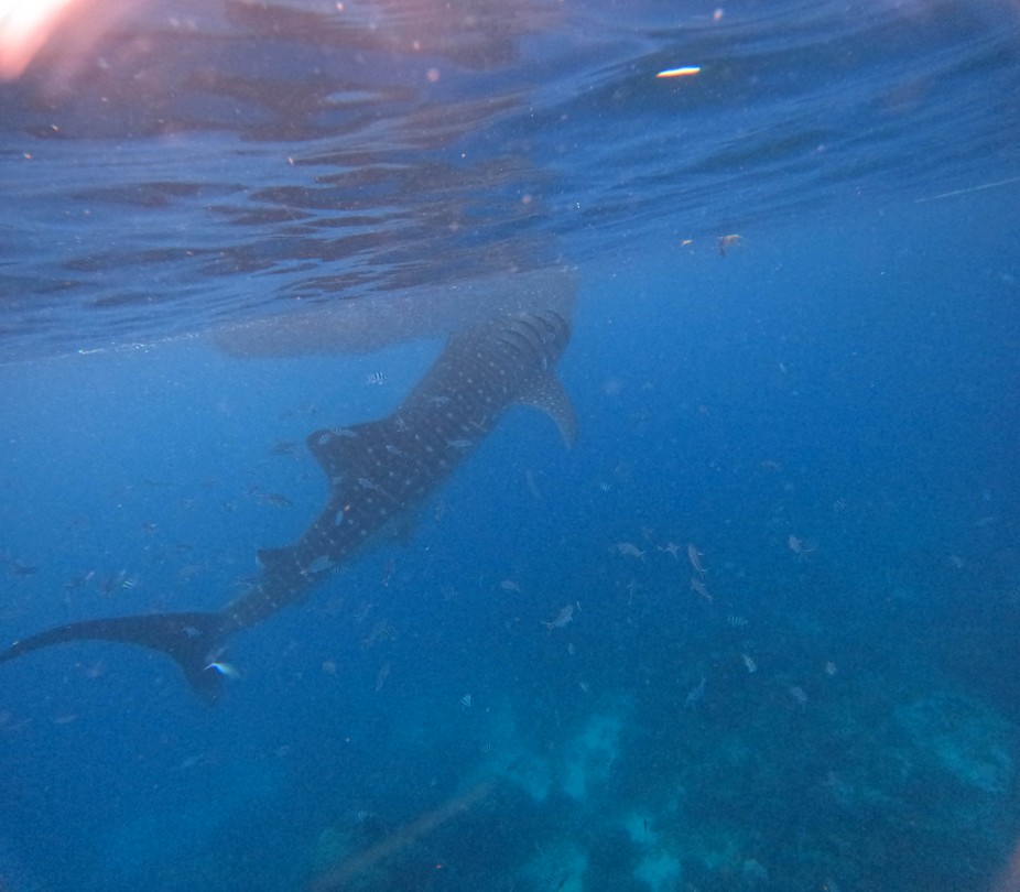 Бохол: волшебство природы (Кристина)