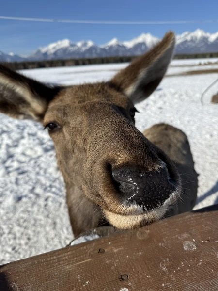 Интересный маршрут для одного дня в составе мини-группы. Спокойно, комфортно, по пути много красивых локаций. Посещение