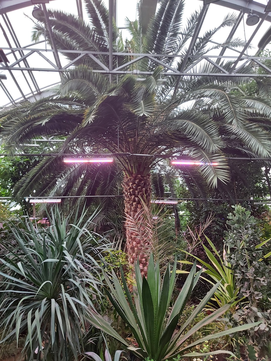 Душевная экскурсия. Без суеты доехали до Кировска, посетили все что запланировали. Жалко подъёмник не работал, но