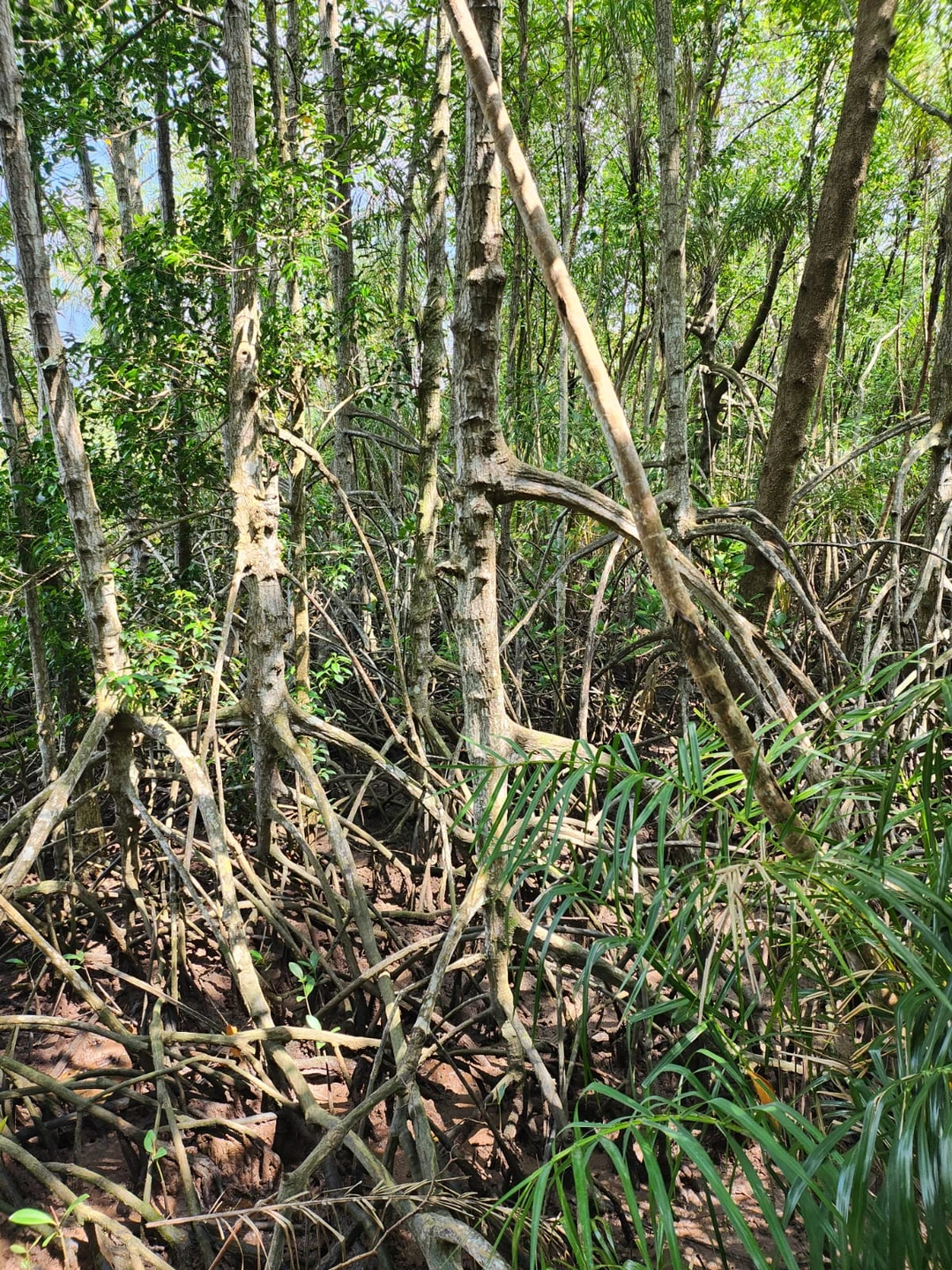 Большое спасибо Ирине за превосходную экскурсию! Это были незабывания впечатления и поездка, которую очень хочется повторить!