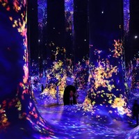 Фото отзыва 2: экскурсия "Ваш лучший день в Абу-Даби"