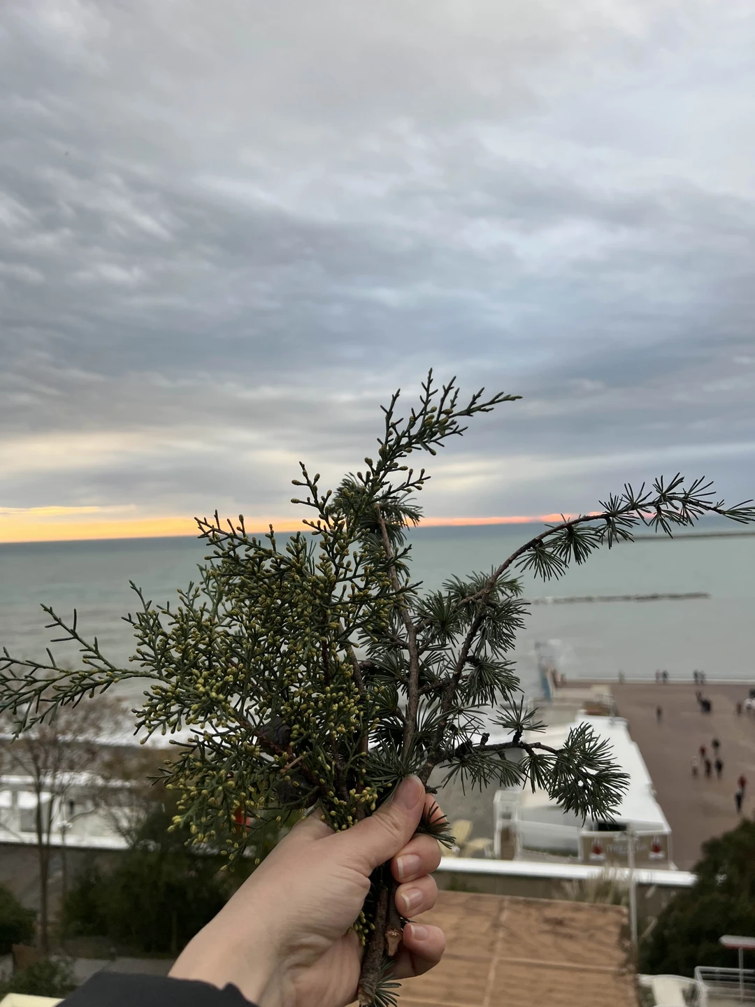 Пешком по Сочи сквозь века (Надежда)