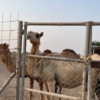 Фото отзыва 3: экскурсия "Путешествие к Индийскому океану"