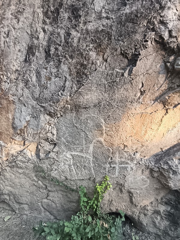 Чимган, Амирсой и Чарвакское водохранилище - из Ташкента