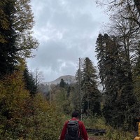 Фото отзыва 2: экскурсия "С культурологом по Агурскому ущелью — сквозь эпохи и мифы"