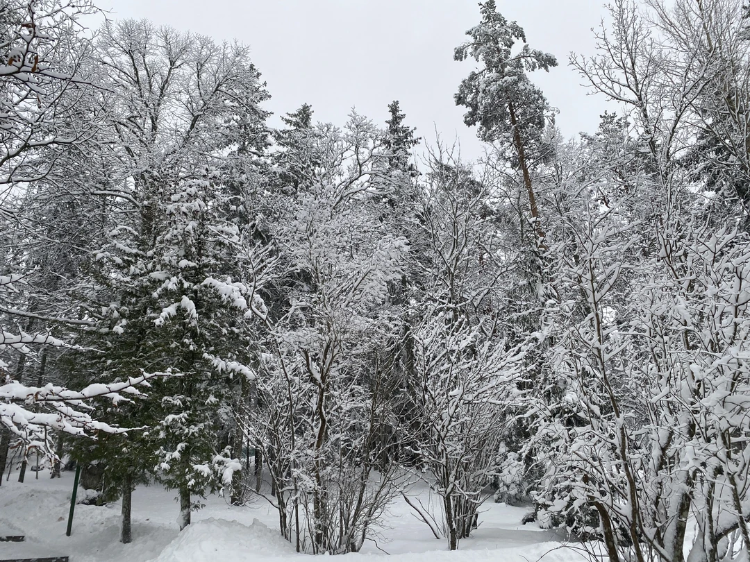 Наша экскурсия выпала на прекрасный снежный день. Мы как будто побывали в зимней сказке. Узнали много