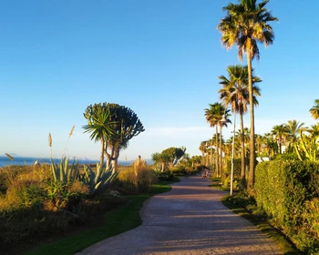 Свободный день