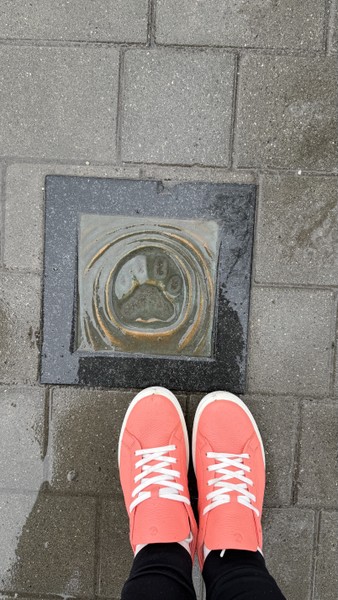 Хочу от всей души поблагодарить нашего гида за невероятную экскурсию по историческому центру Владикавказа!