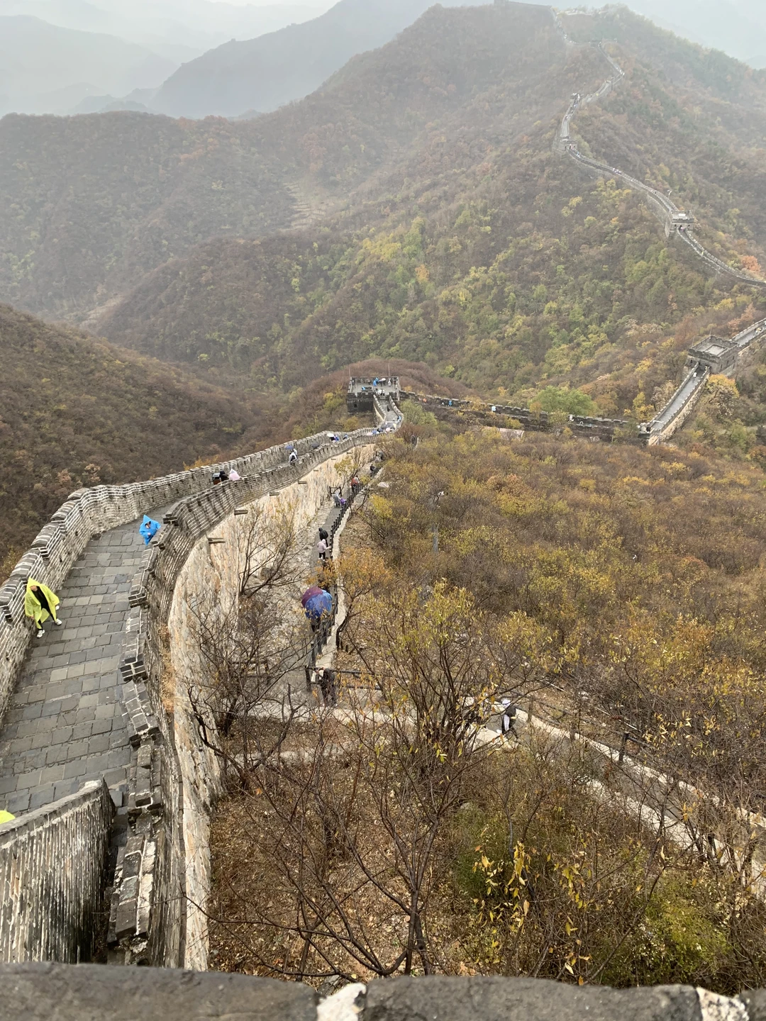 Олег очень оперативно (всего 1 день заранее) организовали нам тур с отличным гидом Аленой, скорректировал время