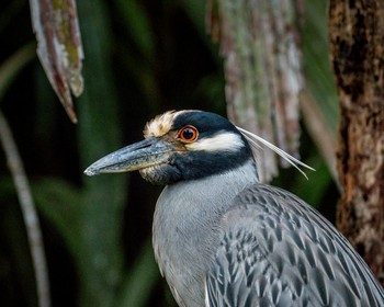 Лодочная прогулка