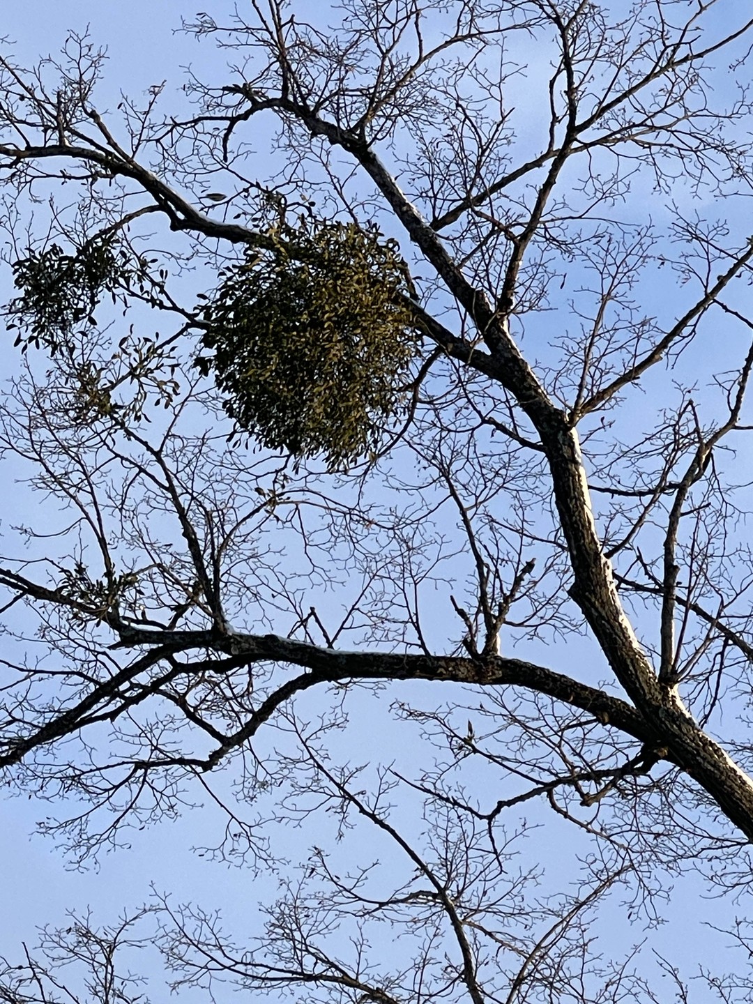 Нас встретили пурга и ветер сразу как только мы прилетели (с опозданием) в Калининград, настроение было близко