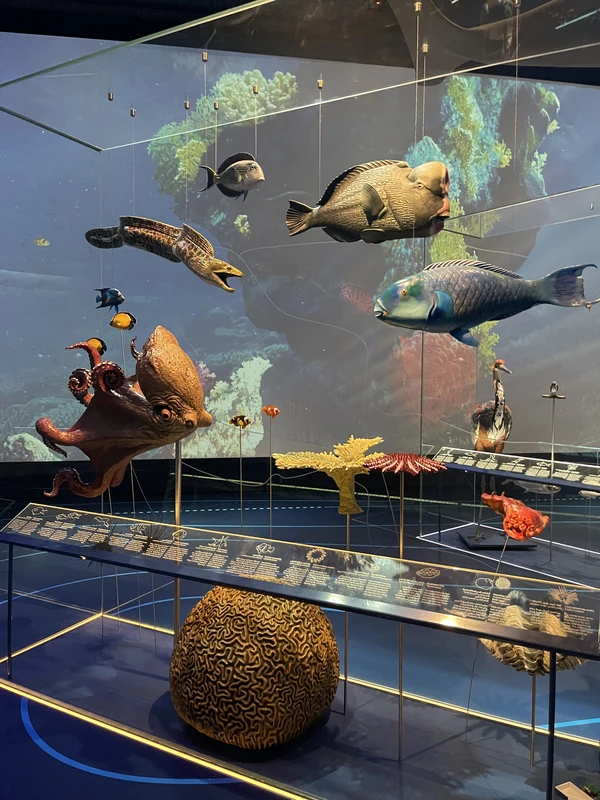 Путешествие из Манамы в Саудовскую Аравию