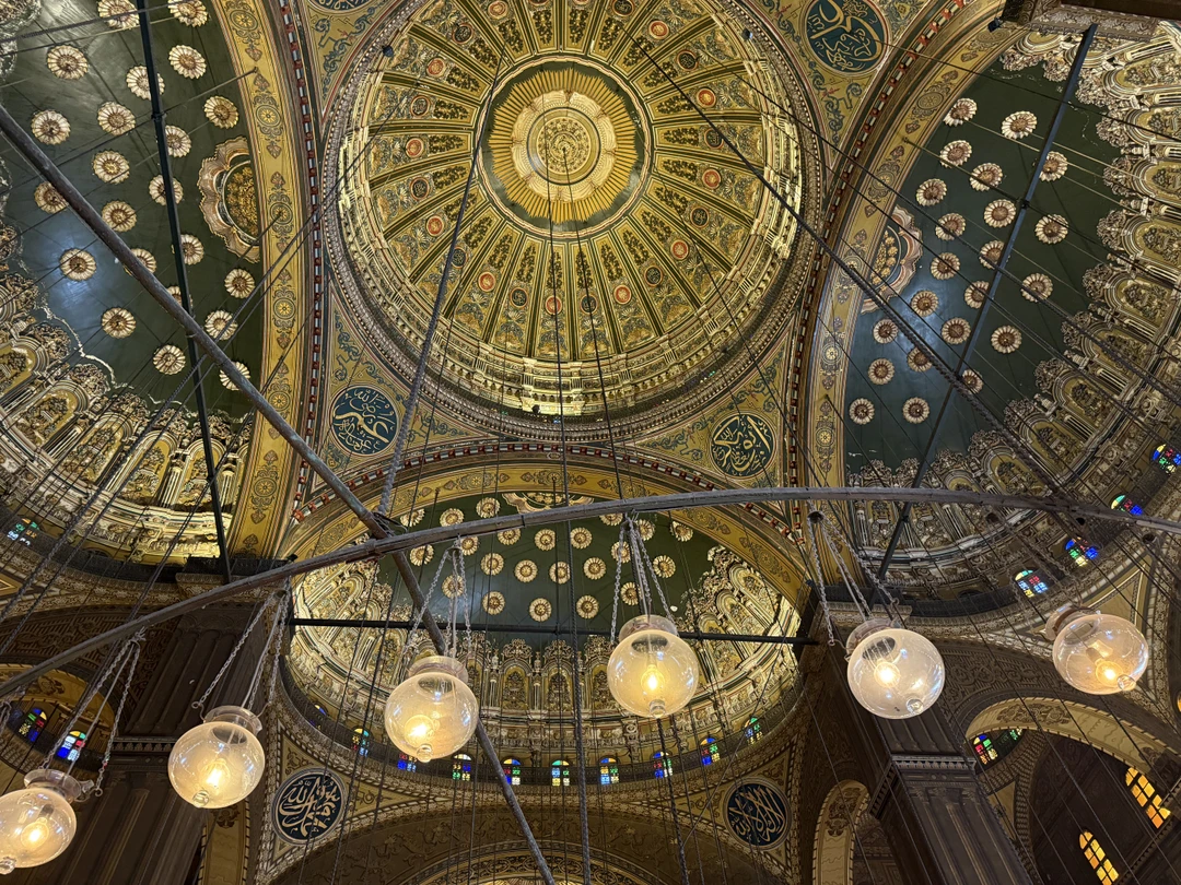 Очень рады, что выбрали Муххамеда, прекрасная организация и подача материала. У нас была большая компания 10