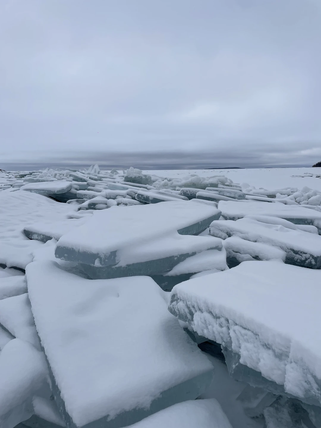 По ладожским шхерам круглый год - на аэролодке (Наталья)