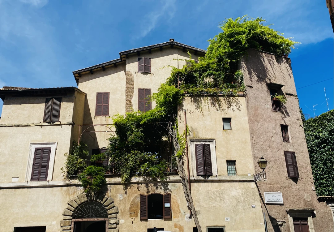 Первое свидание с Римом (Вероника)