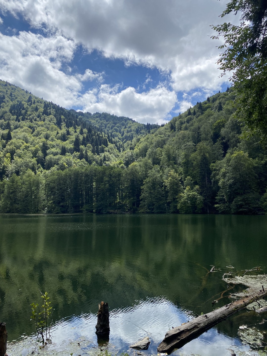 На выходных я посетила увлекательную экскурсию в ущелье Дзама. Это место очаровывает своей историей и великолепием природы!