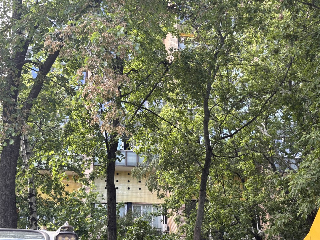 «Кинопанорама»: прогулка по местам съёмок советских фильмов (Мария)
