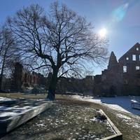 Фото туриста Irina 7 - Автобусная экскурсия в Черняховск