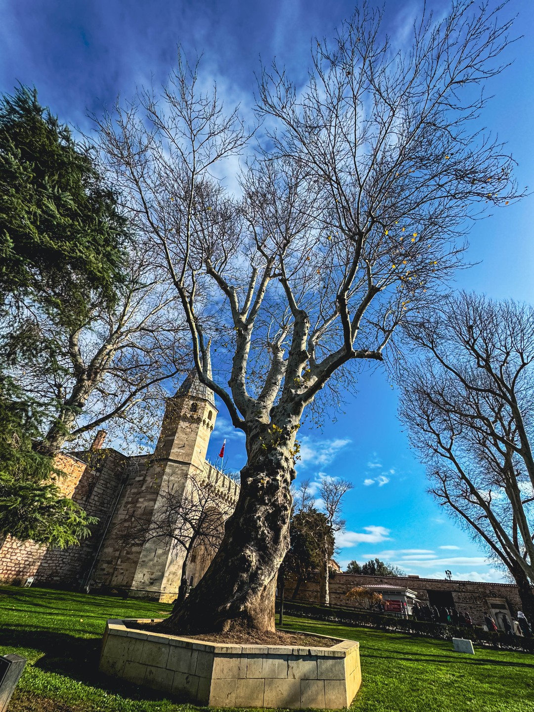 Дворец Топкапы: искусство, власть и «Великолепный век» (Анна)