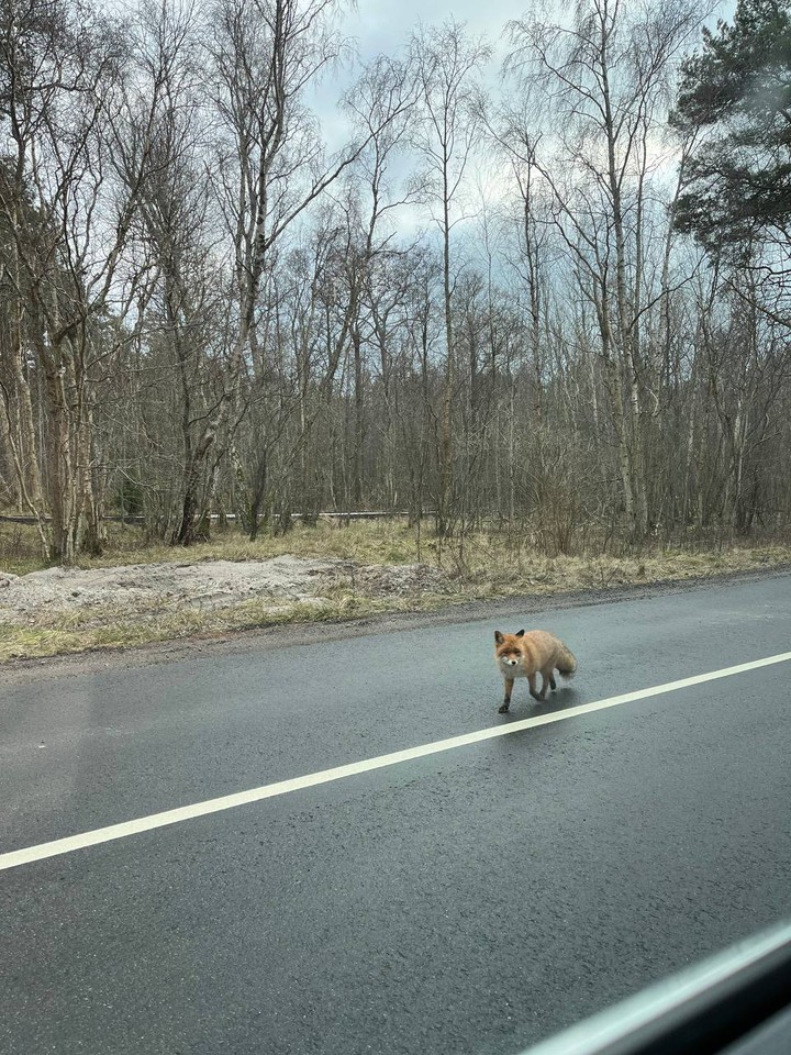 Были на экскурсии с Региной, нам очень понравилось. Всем советуем, лучшее времяпрепровождение за поездку. Видели настоящую