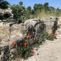 Фото отзыва 2: экскурсия "Античный Сиде: зарождение цивилизации"