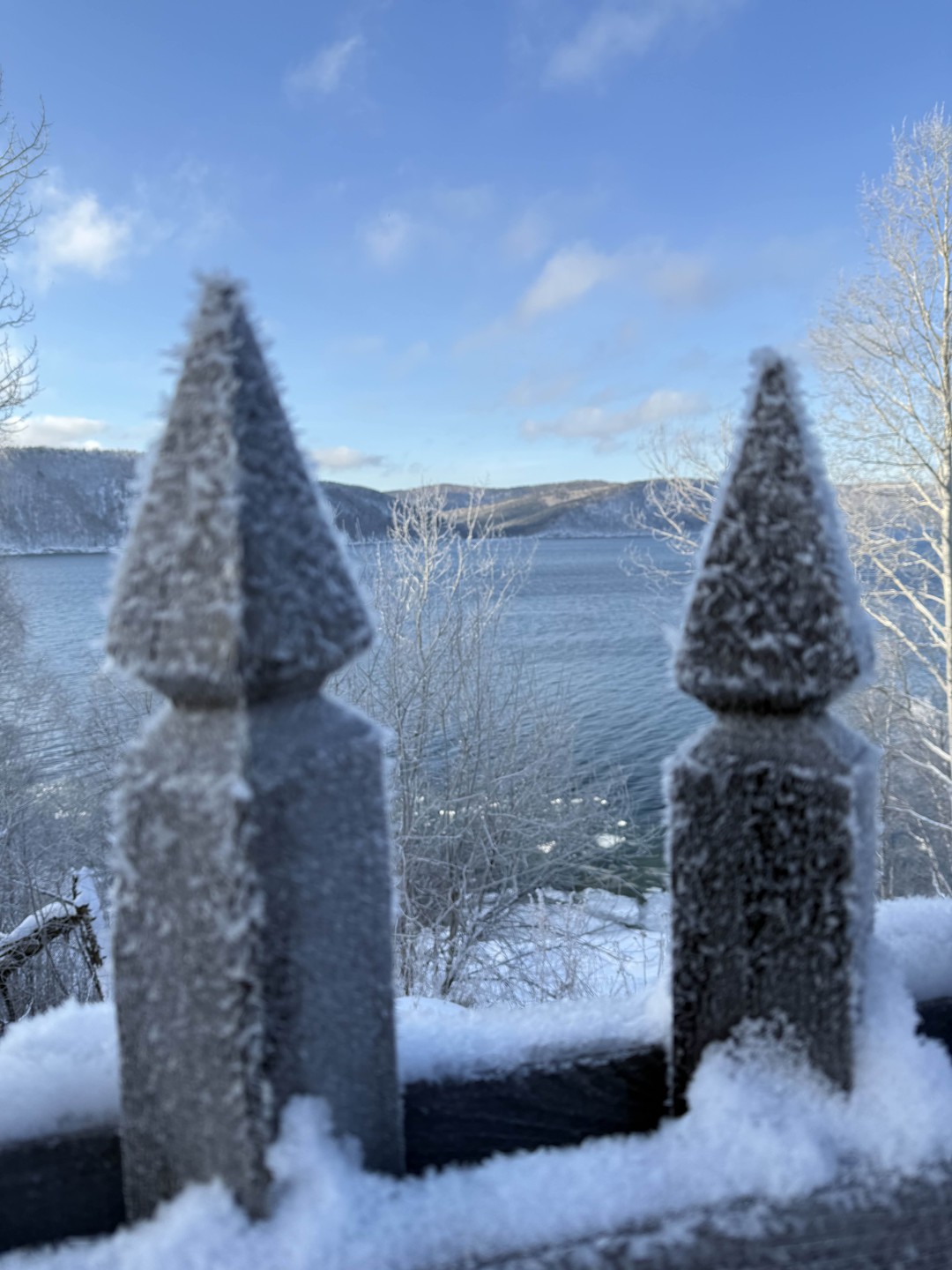 Провели с Алиной замечательный день 4 января. Я была с подругой и сыном. Заранее обсудили наши