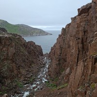 Фото отзыва 1: экскурсия "Териберка за 1 день: посёлок, китовое сафари и дегустация морепродуктов"