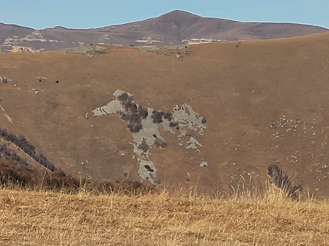 Хочу от всей души поблагодарить организатора и нашего гида - водителя Геннадия, за прекрасное и познавательныое