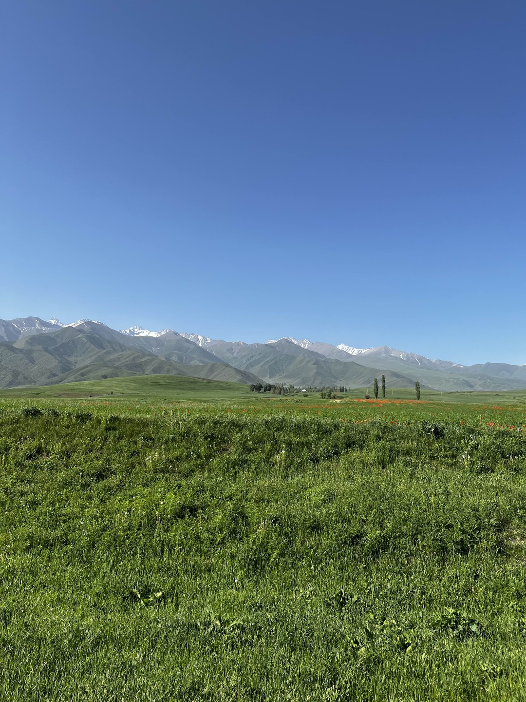 Прекрасный маршрут, очень красиво