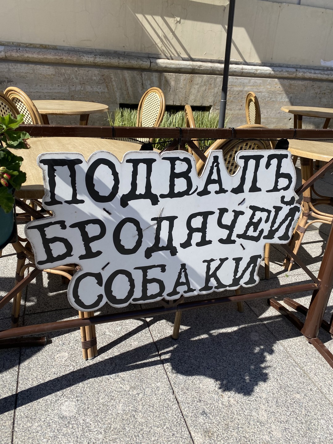 Есенин и Петербург. Экскурсия в компании поэта (Анна)