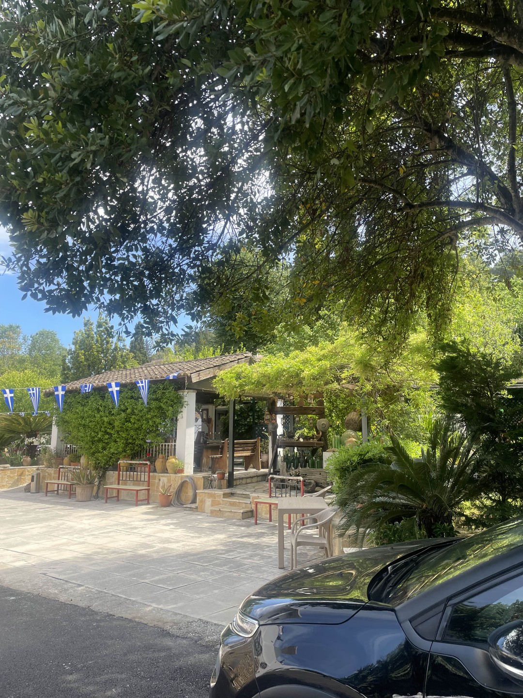 Привет! Хочу сказать прекрасные слова о моем гиде -@around_Corfu_guide