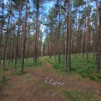 Фото отзыва 2: экскурсия "Комфортная поездка на Куршскую косу"