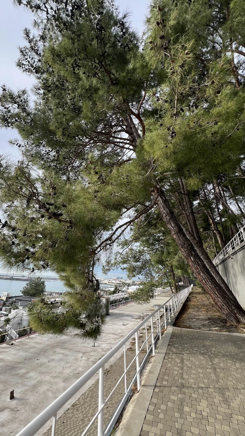 Пешком по Сочи сквозь века (Надежда)