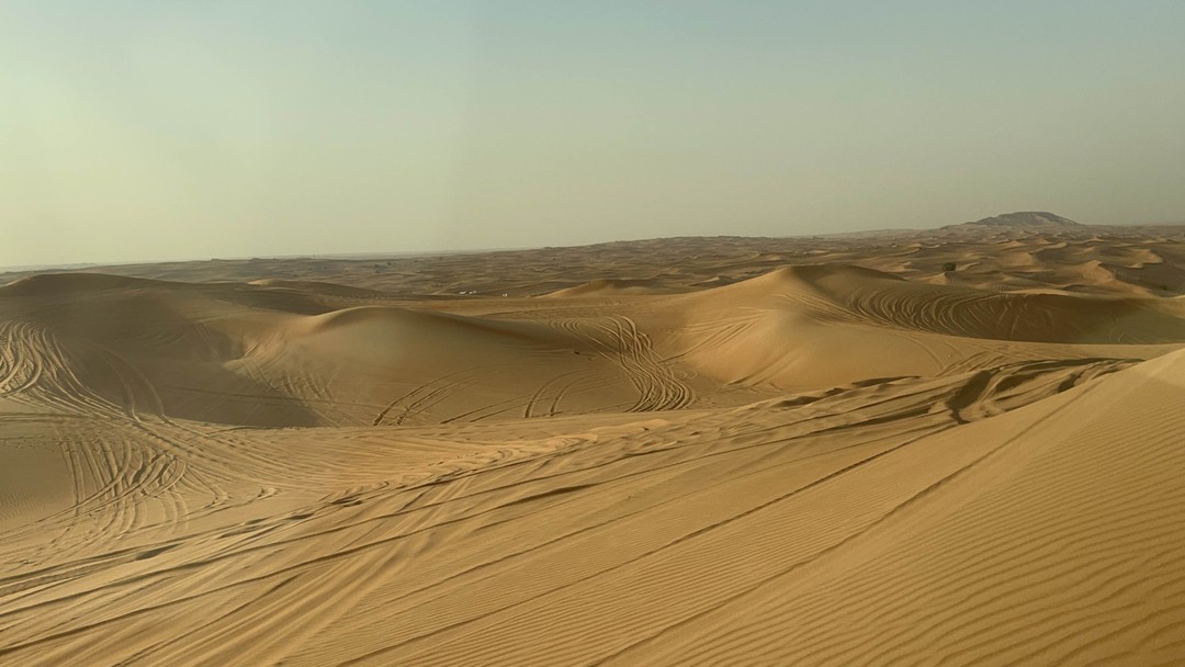 Все прошло замечательно!