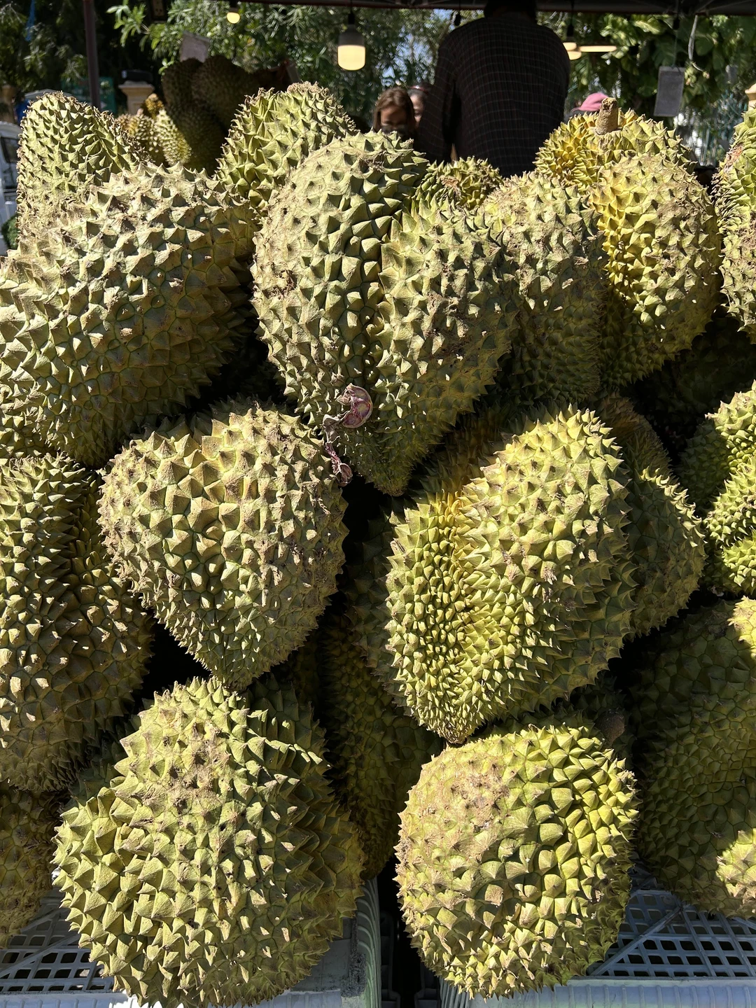 Это даже не экскурсия, а мини приключение. Спасибо Розе за прекрасный и яркий день