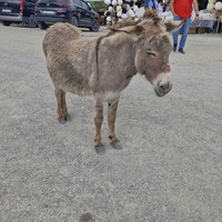 Фото отзыва 1: экскурсия "Осетия — любовь с первого взгляда!"