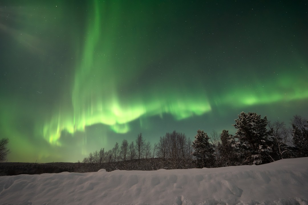 Огромнейшее спасибо за исполненную мечту детства! Алексей интересно и доступно рассказал о природе северного сияния, отвез