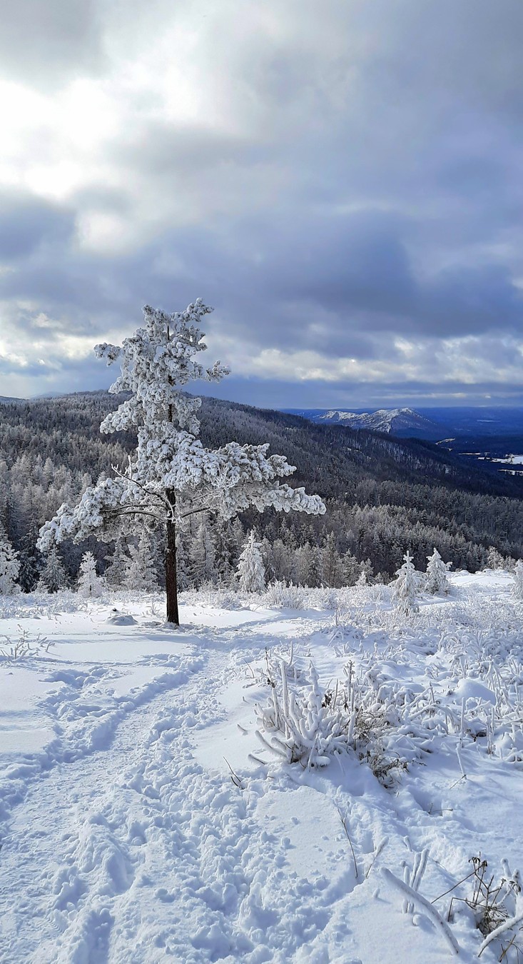 Путешествие по скалам Башкирии (23/25)