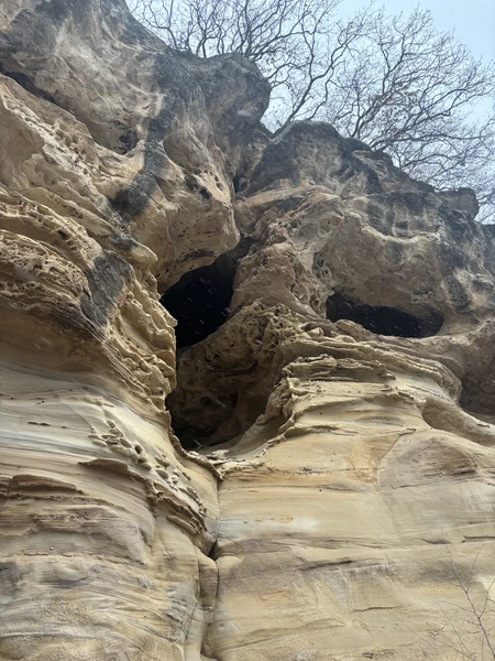 Экскурсия потрясающая! Мы поехали, когда в Кисловодске была, можно сказать, весна, а в Домбае была настоящая