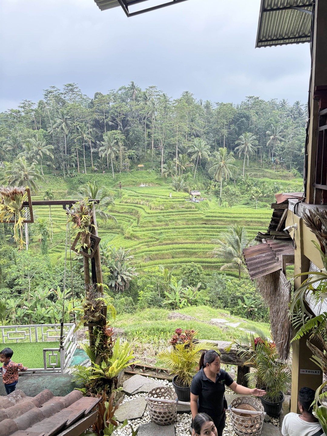 Все четко! Получили массу впечатлений несмотря на ливень. Обезьяны стащили только пакет к орешками и бананами