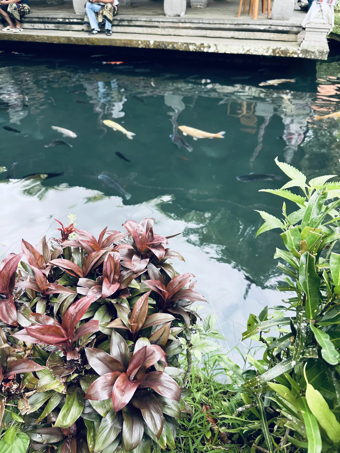 Сердце Бали: живописные плантации, парк птиц и краски Убуда (Venera)