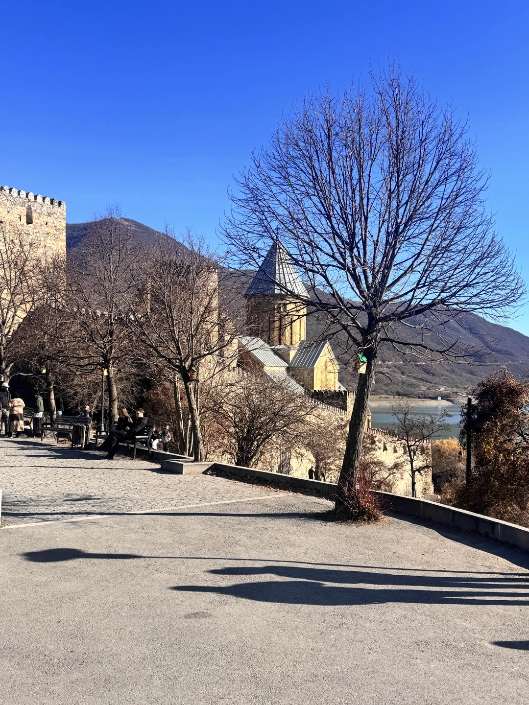 Поехали на экскурсию на Казбек втроём — остались в полном восторге! Организация на высшем уровне. Сначала