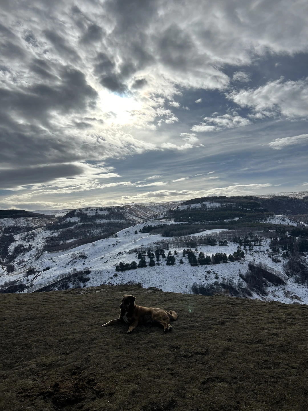Потрясающая конная прогулка к Березовскому ущелью! Лошади были спокойные и надежные, маршрут очень живописный, а виды