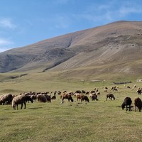 Отзыв о экскурсии "В Киргизию за эмоциями: конная прогулка, горячие источники, круиз и треккинг к водопадам" — фото 3