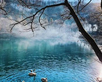 Фото отзыва 1: авторский тур "В село Верхняя Балкария в гости к местной семье"