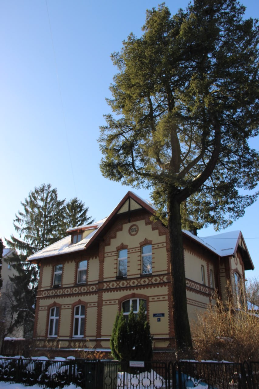 Решили пойти на эту экскурсию после экскурсии по центру с Данилой. Хорошее место, интересные истории, разные